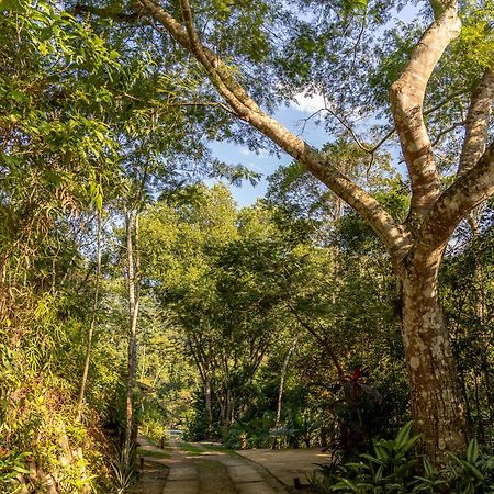 La Luciole Ecolodge ปาราตี ภายนอก รูปภาพ