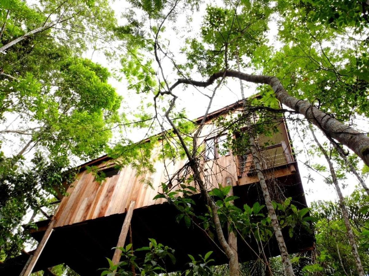 La Luciole Ecolodge ปาราตี ภายนอก รูปภาพ