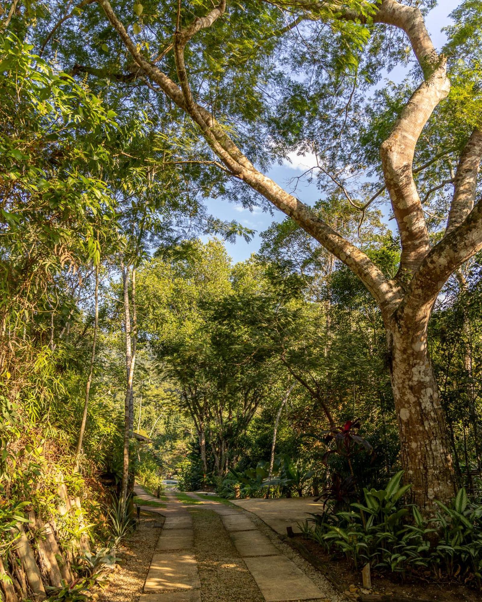 La Luciole Ecolodge ปาราตี ภายนอก รูปภาพ